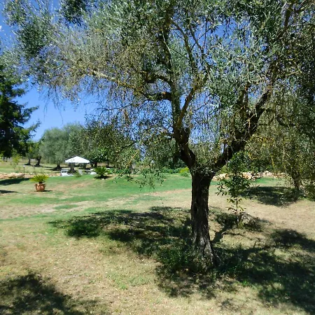 I Massi Nocleg ze śniadaniem