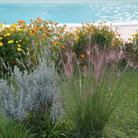 I Massi San Michele in Teverina