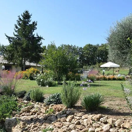 I Massi San Michele in Teverina